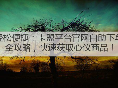 轻松便捷:卡盟平台官网自助下单全攻略,快速获取心仪商品!
