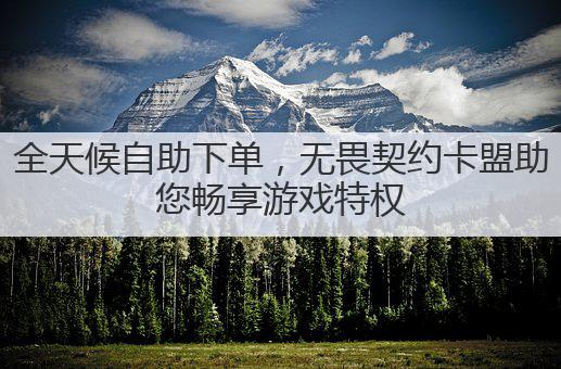 全天候自助下单,无畏契约卡盟助您畅享游戏特权