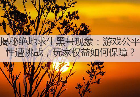 揭秘绝地求生黑号现象:游戏公平性遭挑战,玩家权益如何保障?