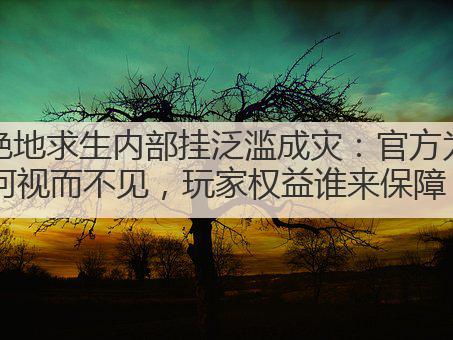 绝地求生内部挂泛滥成灾：官方为何视而不见，玩家权益谁来保障？