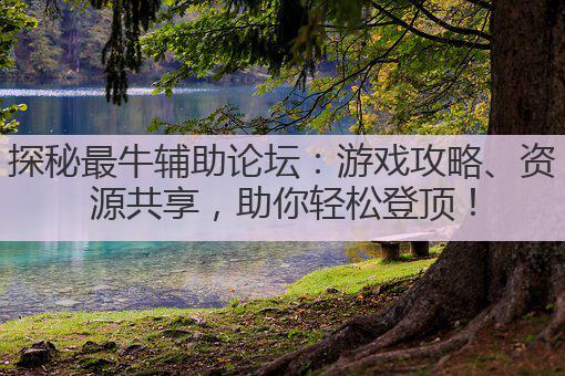 探秘最牛辅助论坛:游戏攻略、资源共享,助你轻松登顶!
