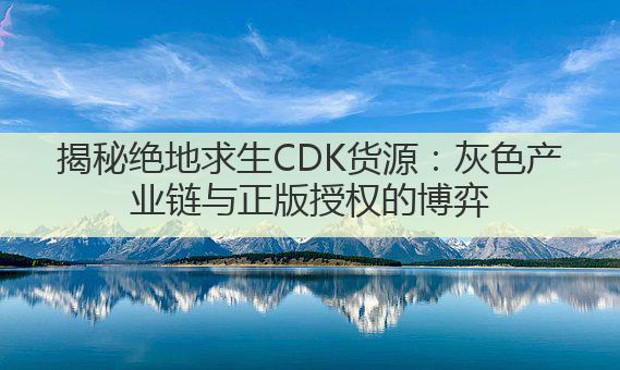 揭秘绝地求生CDK货源：灰色产业链与正版授权的博弈