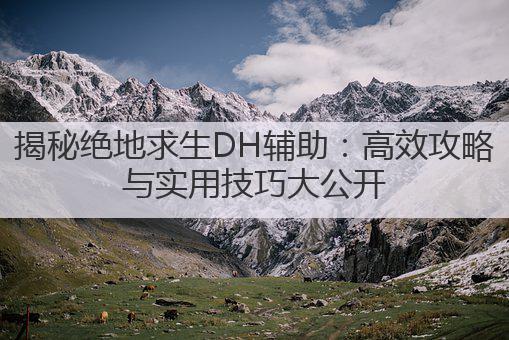 揭秘绝地求生DH辅助：高效攻略与实用技巧大公开