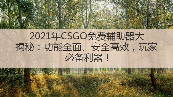 2021年CSGO免费辅助器大揭秘：功能全面、安全高效，玩家必备利器！