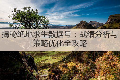 揭秘绝地求生数据号：战绩分析与策略优化全攻略