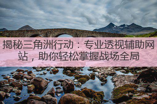 揭秘三角洲行动：高效辅助透视技术助力精准作战