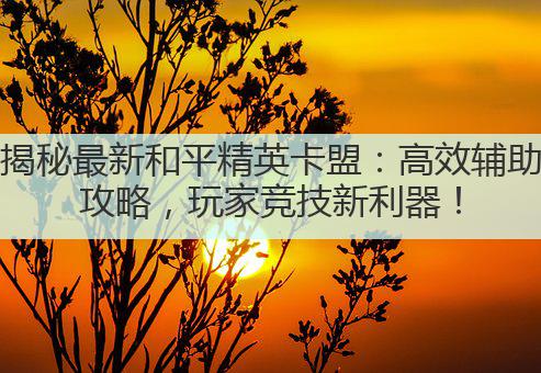 揭秘最新和平精英卡盟：高效辅助攻略，玩家竞技新利器！