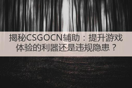 揭秘CSGOCN辅助：提升游戏体验的利器还是违规隐患？