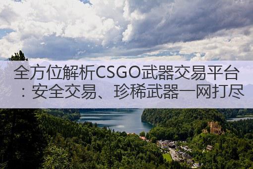 全方位解析CSGO武器交易平台:安全交易、珍稀武器一网打尽