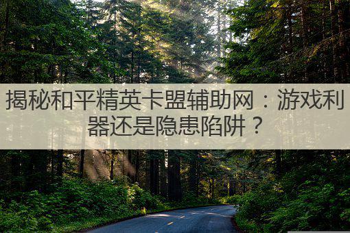 揭秘和平精英卡盟辅助网：游戏利器还是隐患陷阱？