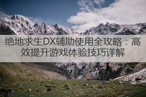 绝地求生DX辅助使用全攻略：高效提升游戏体验技巧详解