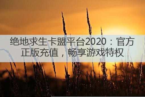 绝地求生卡盟平台2020:官方正版充值,畅享游戏特权