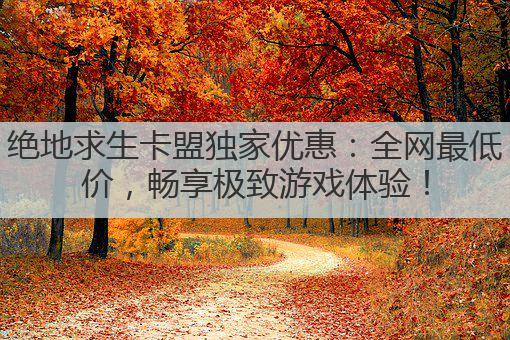 绝地求生卡盟独家优惠:全网最低价,畅享极致游戏体验!