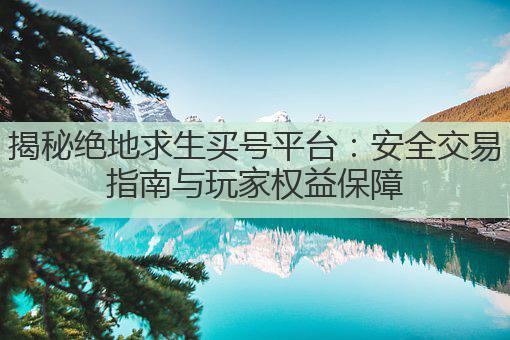 揭秘绝地求生买号平台:安全交易指南与玩家权益保障