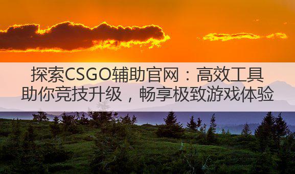 探索CSGO辅助官网:高效工具助你竞技升级,畅享极致游戏体验