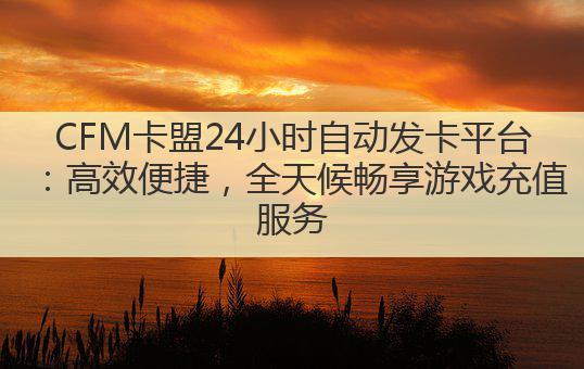 CFM卡盟24小时自动发卡平台：高效便捷，全天候畅享游戏充值服务