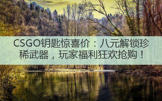 CSGO钥匙惊喜价:八元解锁珍稀武器,玩家福利狂欢抢购!