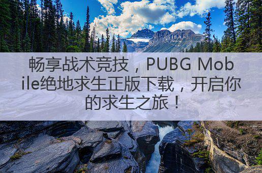 畅享战术竞技，PUBG Mobile绝地求生正版下载，开启你的求生之旅！