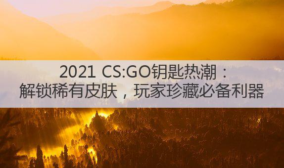 2021 CS:GO钥匙热潮:解锁稀有皮肤,玩家珍藏必备利器
