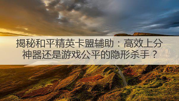 揭秘和平精英卡盟辅助：高效上分神器还是游戏公平的隐形杀手？