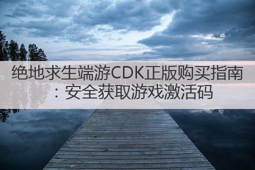 绝地求生端游CDK正版购买指南:安全获取游戏激活码
