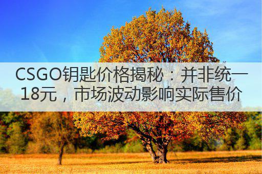 CSGO钥匙价格揭秘：并非统一18元，市场波动影响实际售价