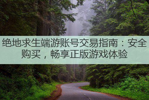 绝地求生端游账号交易指南：安全购买，畅享正版游戏体验