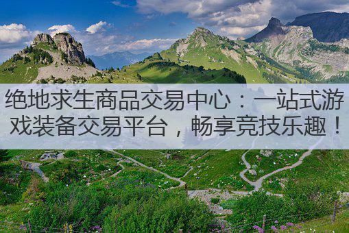绝地求生商品交易中心:一站式游戏装备交易平台,畅享竞技乐趣!