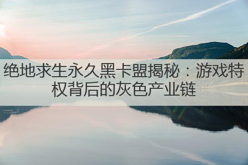 绝地求生永久黑卡盟揭秘:游戏特权背后的灰色产业链