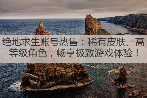 绝地求生账号热售:稀有皮肤、高等级角色,畅享极致游戏体验!