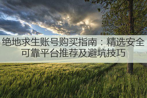 绝地求生账号购买指南:精选安全可靠平台推荐及避坑技巧