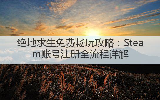 绝地求生免费畅玩攻略:Steam账号注册全流程详解