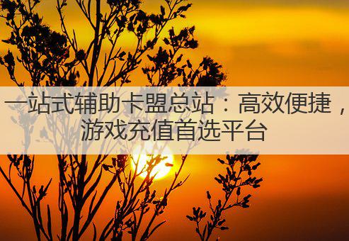 一站式辅助卡盟总站:高效便捷,游戏充值首选平台