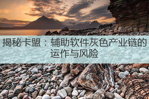 揭秘卡盟:辅助软件灰色产业链的运作与风险