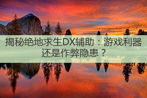 揭秘绝地求生DX辅助:游戏利器还是作弊隐患?