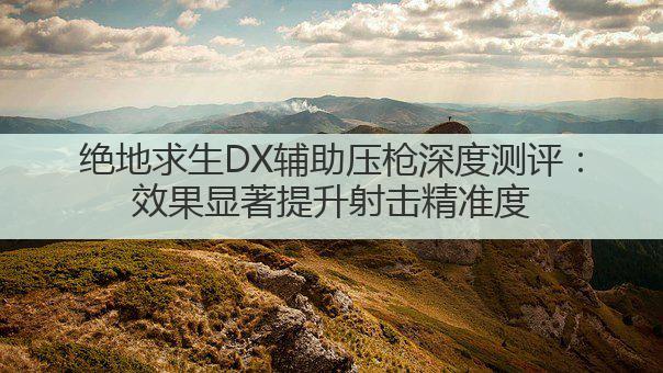 绝地求生DX辅助压枪深度测评:效果显著提升射击精准度