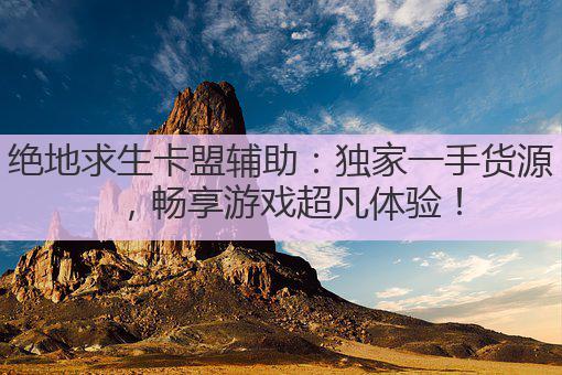 绝地求生卡盟辅助：独家一手货源，畅享游戏超凡体验！