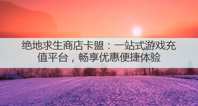 绝地求生商店卡盟:一站式游戏充值平台,畅享优惠便捷体验