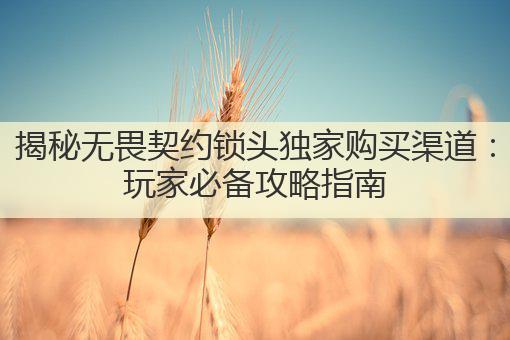 揭秘无畏契约锁头独家购买渠道:玩家必备攻略指南