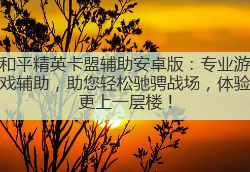 和平精英卡盟辅助安卓版:专业游戏辅助,助您轻松驰骋战场,体验更上一层楼!