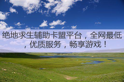 绝地求生辅助卡盟平台,全网最低,优质服务,畅享游戏!