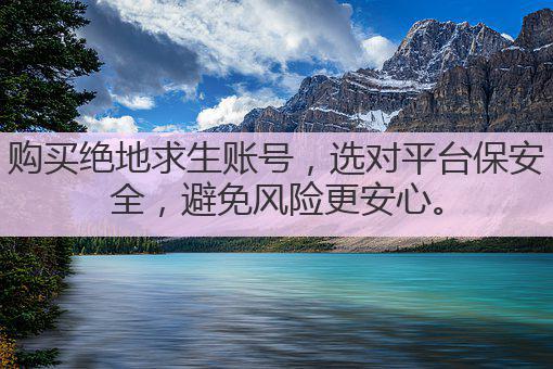 购买绝地求生账号,选对平台保安全,避免风险更安心。
