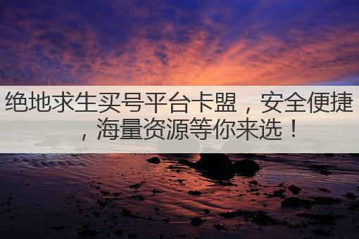 绝地求生买号平台卡盟,安全便捷,海量资源等你来选!