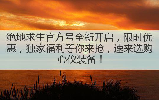 绝地求生官方号全新开启,限时优惠,独家福利等你来抢,速来选购心仪装备!