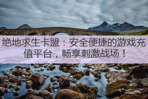 绝地求生卡盟:安全便捷的游戏充值平台,畅享刺激战场!