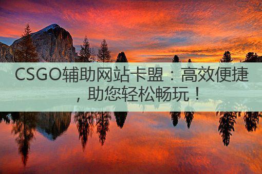 CSGO辅助网站卡盟：高效便捷，助您轻松畅玩！