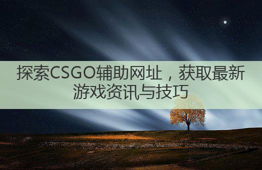 探索CSGO辅助网址，获取最新游戏资讯与技巧