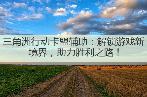 三角洲行动卡盟辅助：解锁游戏新境界，助力胜利之路！