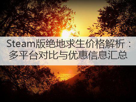 Steam版绝地求生价格解析：多平台对比与优惠信息汇总
