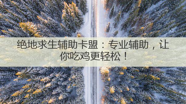 绝地求生辅助卡盟:专业辅助,让你吃鸡更轻松!